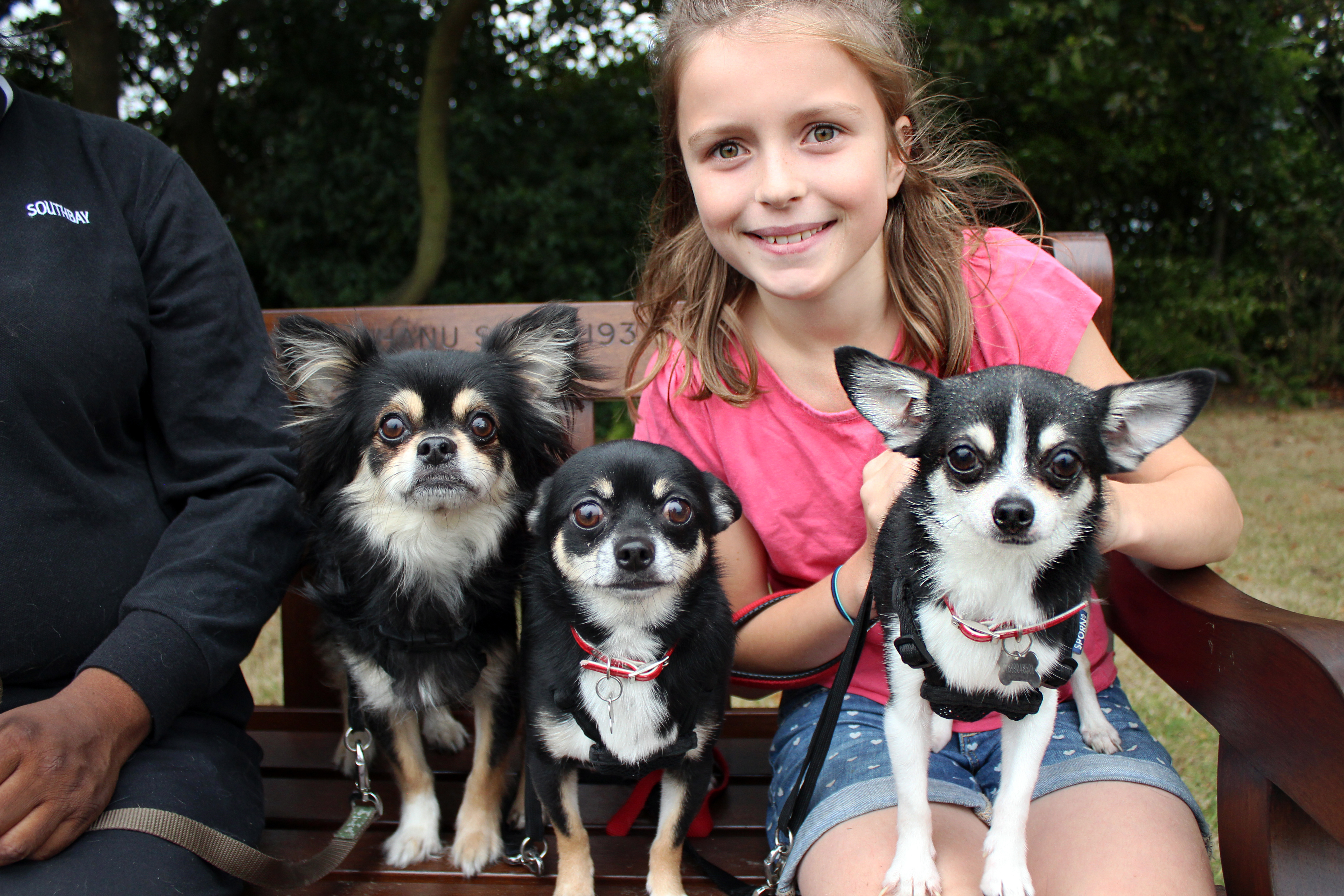 Beau, Murphy, Moushska and borrower Rosie.JPG