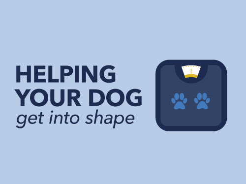 Get into shape along with your dog