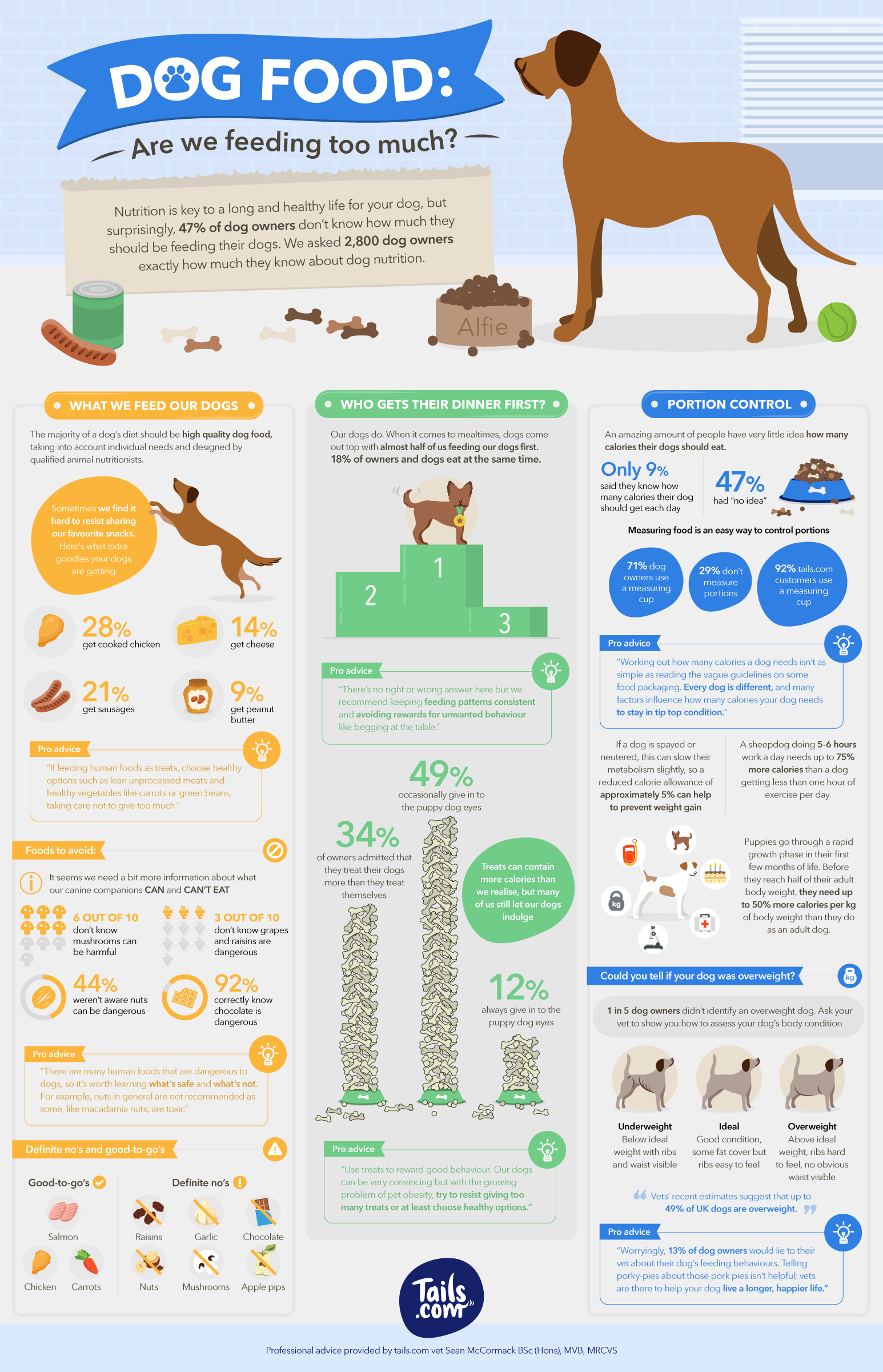 How much human shop food to feed dog