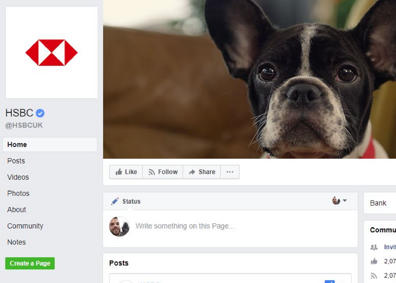 BLOG SIZE_ How brands can tackle the brachycephalic dog dilemma.png