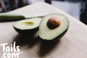 avocat