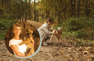 balade chien saison de chasse