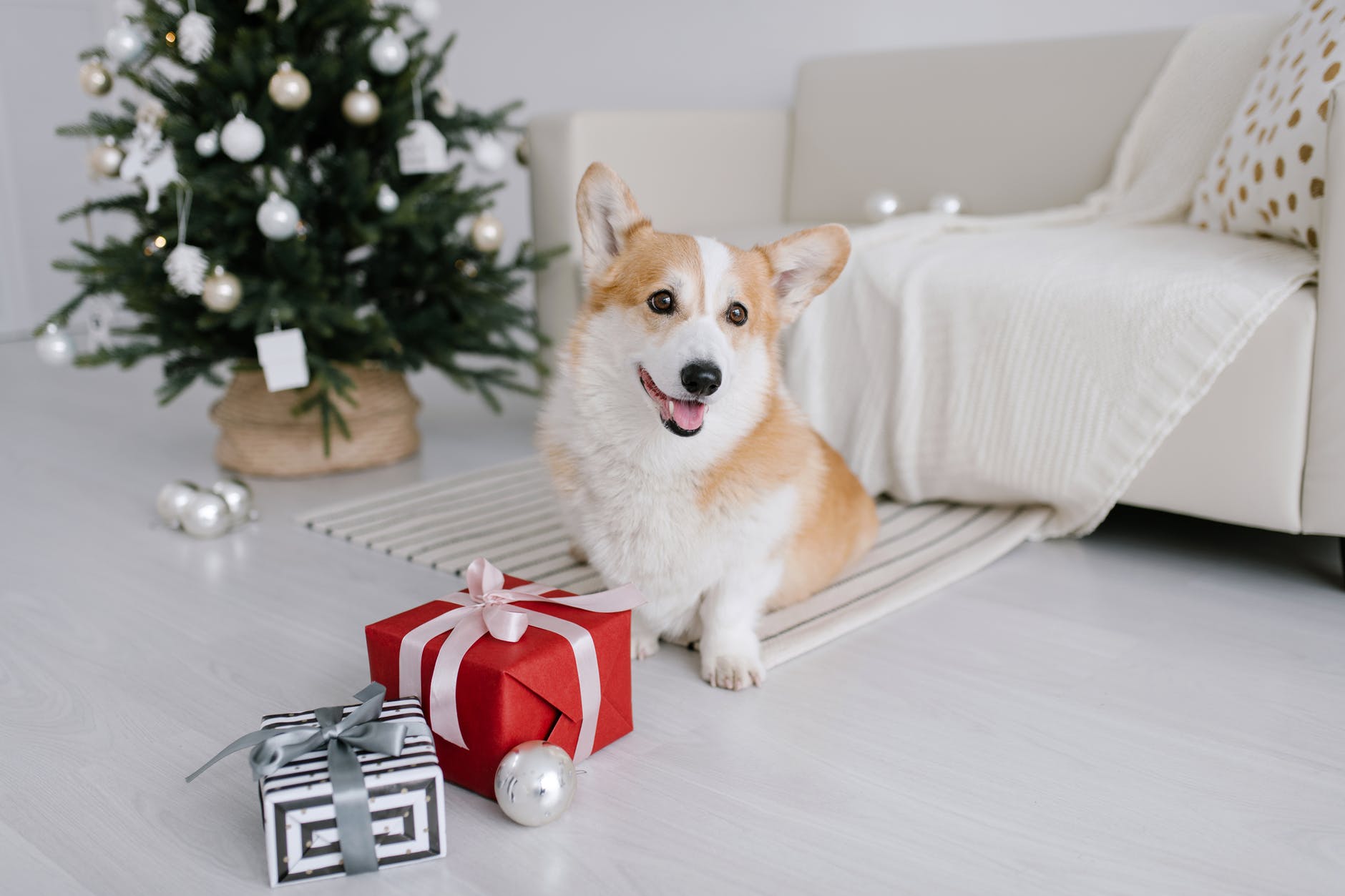 On a trouvé la friandise qu'il vous faut pour Noël !