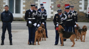 gendarmerie brigades canines