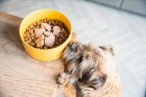 la meilleure alimentation comment choisir