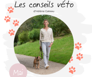 conseils véto