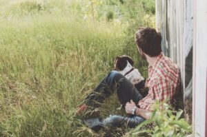 solutions de garde pour chiens