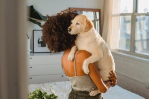 surdité chez le chien