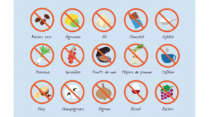 non pour les chiens