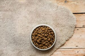 croquettes à l'agneau hypoallergénique