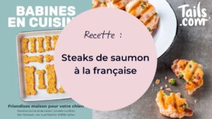 recette pour chiens steaks au saumon