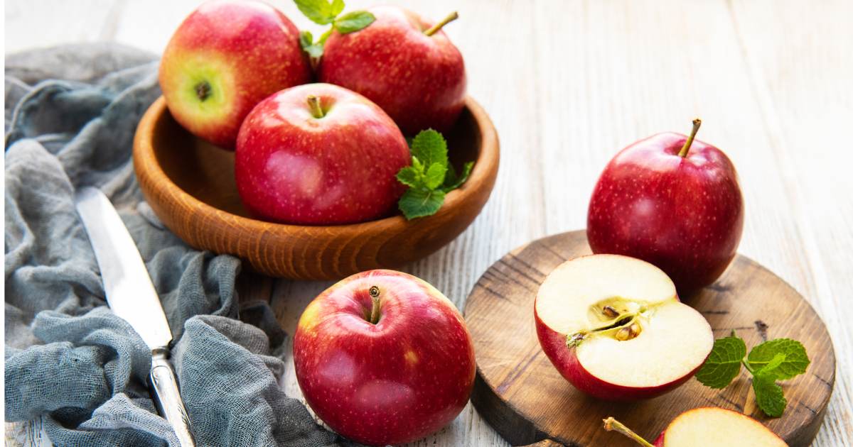 des pommes pour le chien