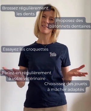 Rappel véto : Brosser, utiliser des bâtonnets dentaires, essayer les croquettes, choisir des jouets adaptés, aller régulièrement chez le véto