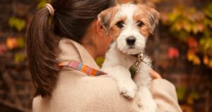 comment réussir vos photos de chien cet automne
