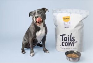 Walter chien staffie avec ses croquettes