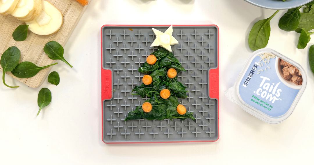 recette pour tapis de léchage pour chien