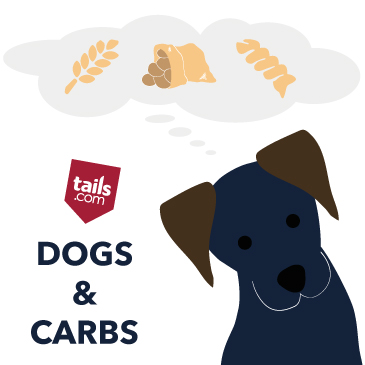 how much carbohydrates does a dog need