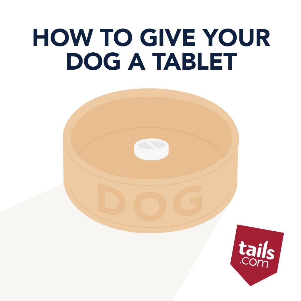 How to give your dog a tablet