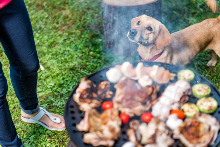 Dog next to person's legs looking up at them, with barbecue in the foreground cooking meat and vegetables