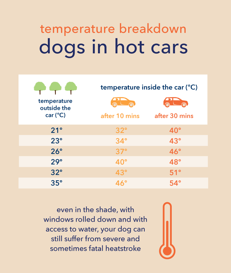 what temperature is it safe to leave a dog in a car