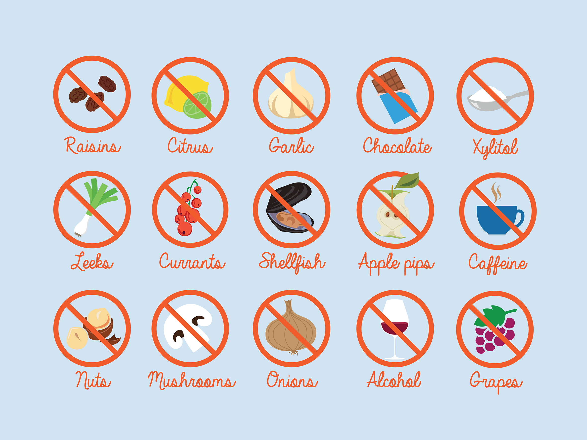 what foods are toxic to dogs