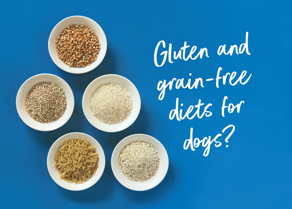 Why Is Grain Good For Dogs