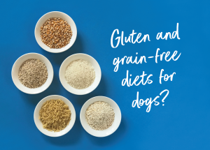 gluten-free dog food