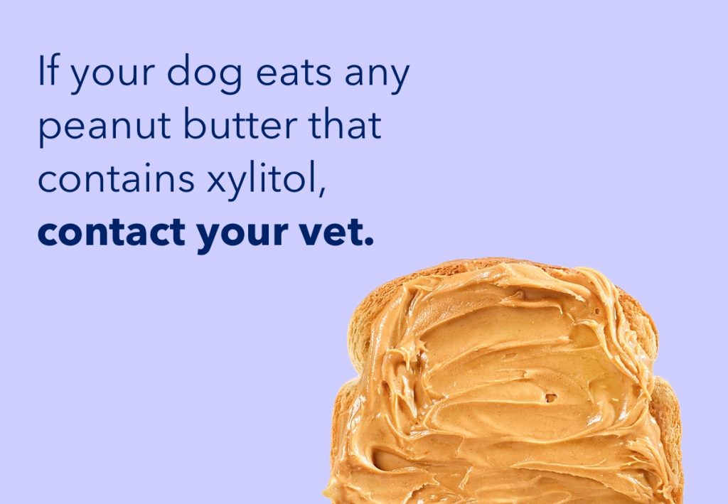 Can dogs eat peanut butter?