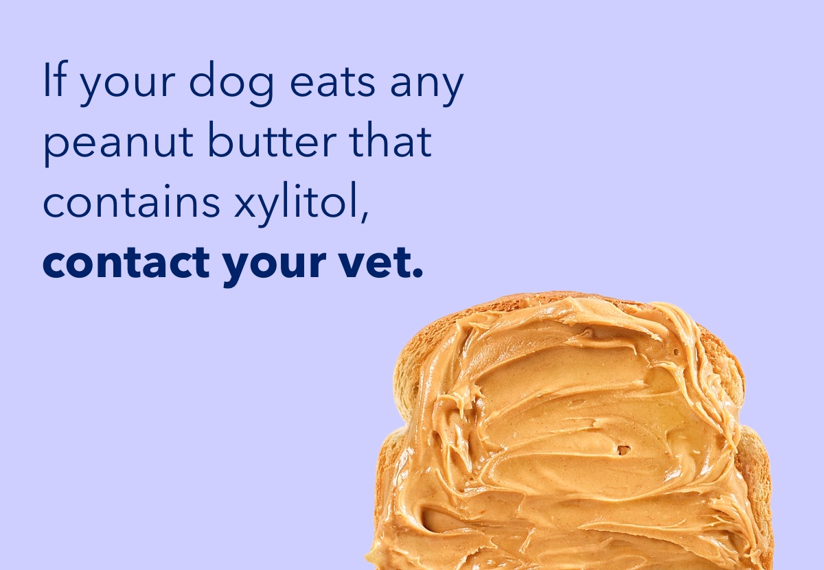 my dog ate peanut butter