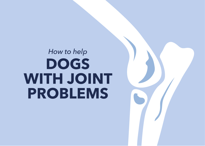 how can i help my dog with joint problems