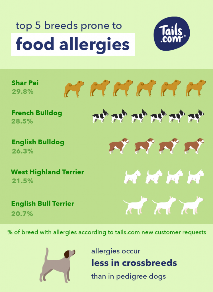 best dog food for skin allergies 2018