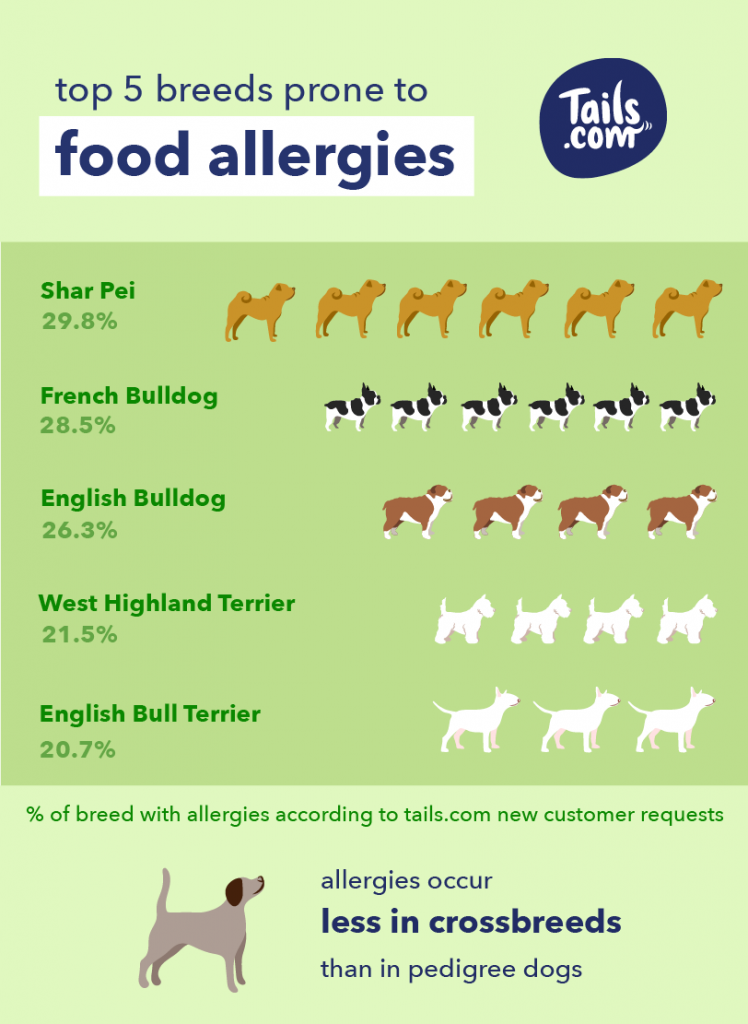 dog egg allergy