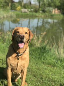 Walks within an hour of London