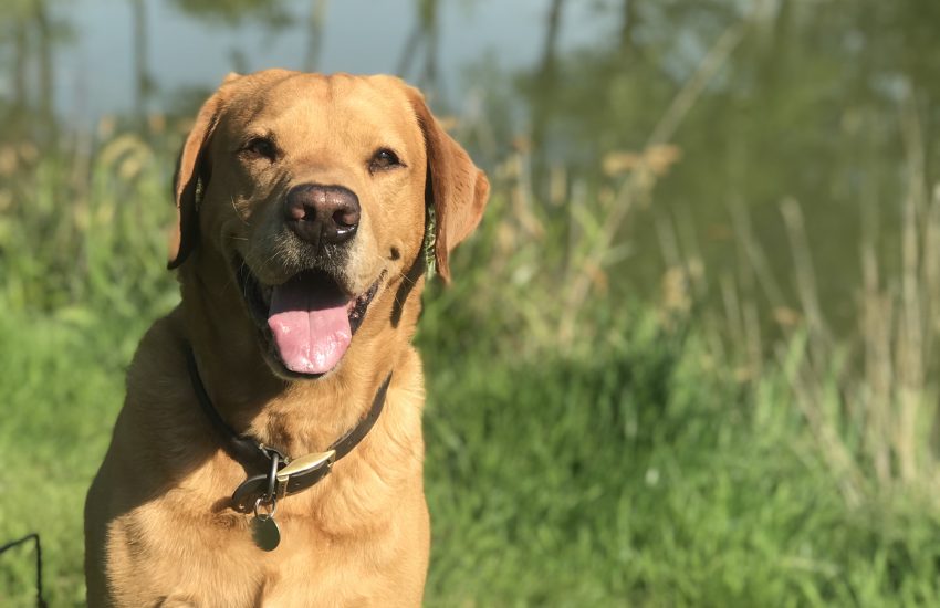 Walks within an hour of London