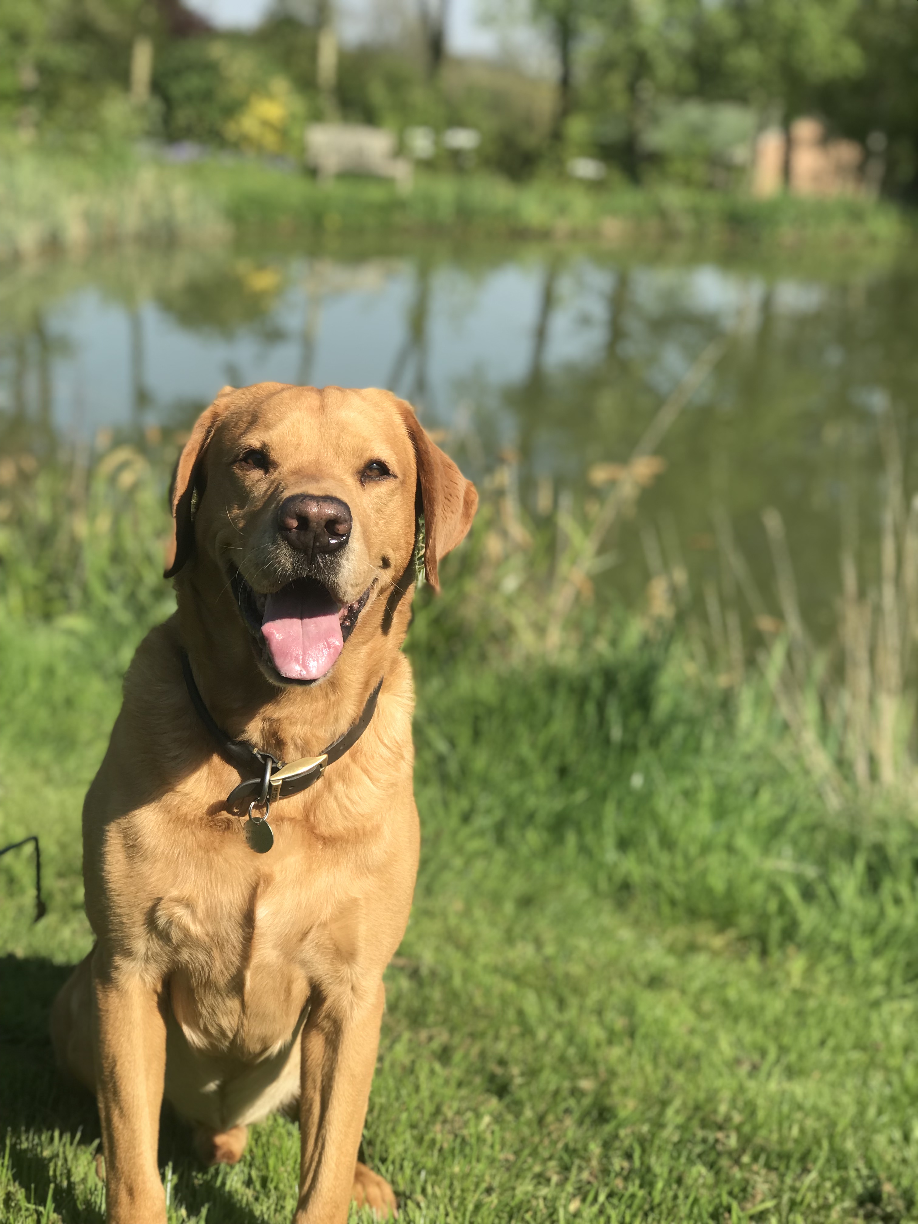 Walks within an hour of London