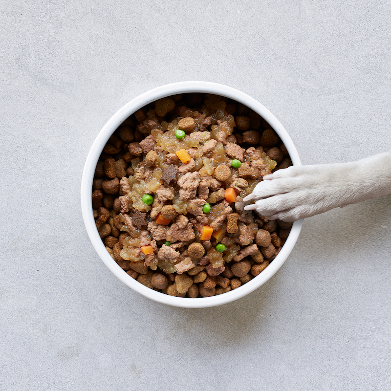 how much dry dog food to feed dog