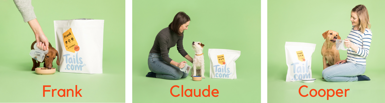 how much should dogs eat