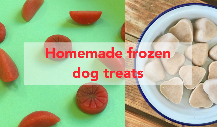 homemade frozen dog treats