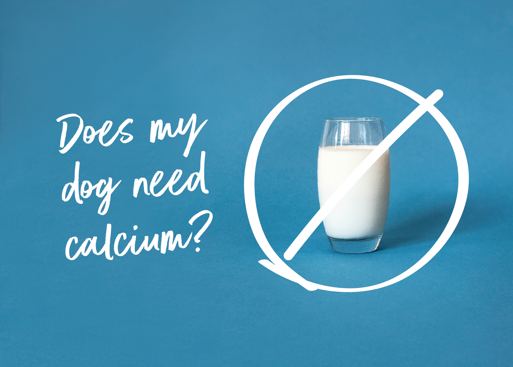 can i give calcium to my dog