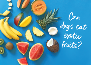 can dogs eat exotic fruits