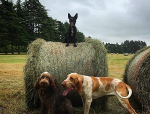 Griff with his friends