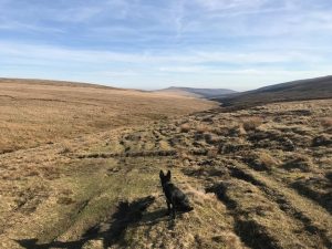 Griff in Grwyne Fawr, Black Mountains