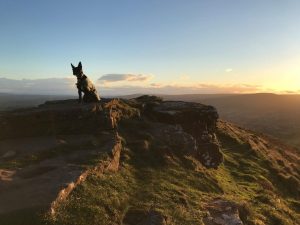 Griff in Ysgyryd Fawr or Skirrid Fawr, Abergavenny