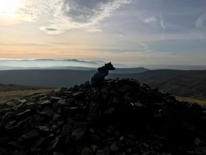 Griff in Pen Y Gadair Fawr, Black Mountains