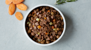 mixing dry and canned dog food