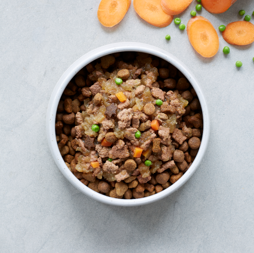 Mixing wet and dry dog food
