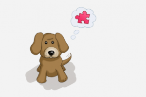 Puzzle Feeder Dog