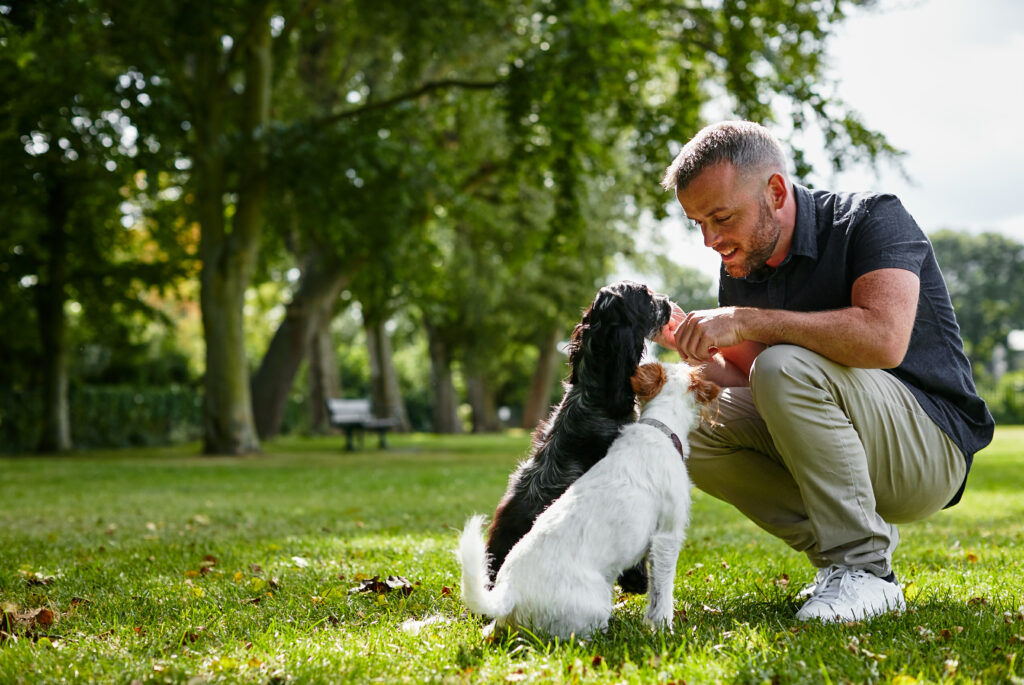 Head Vet Sean with the dogs