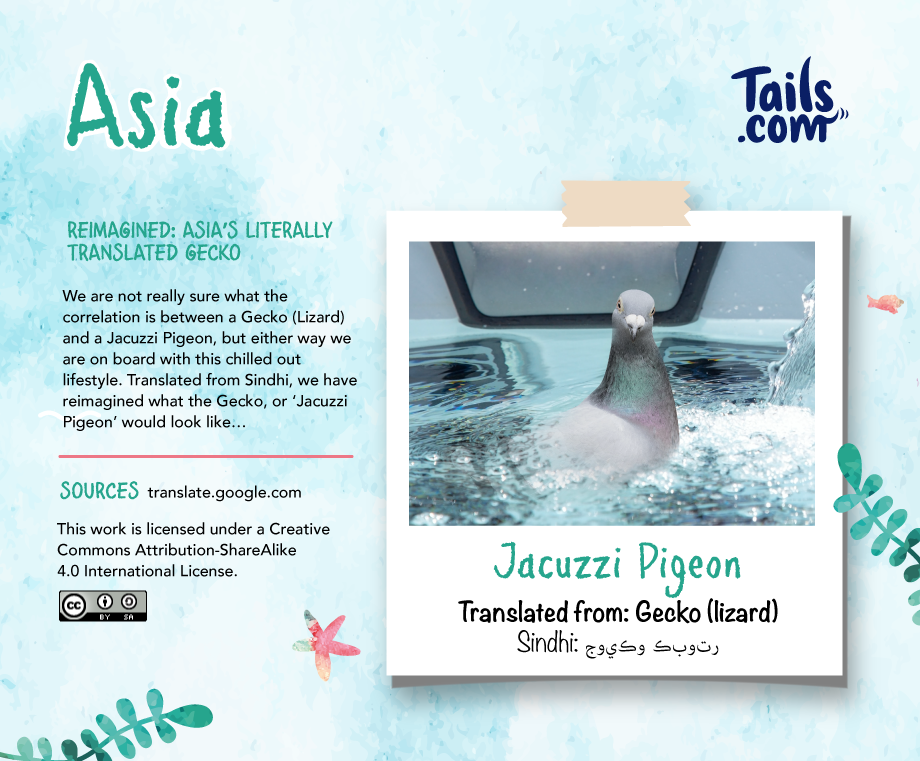 pigeon in a jacuzzi
