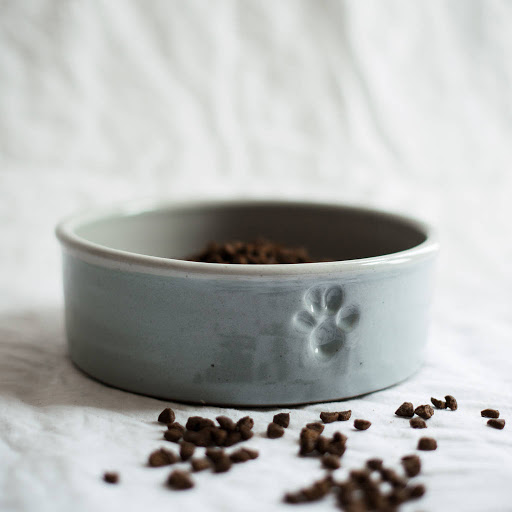 Handmade dog bowl